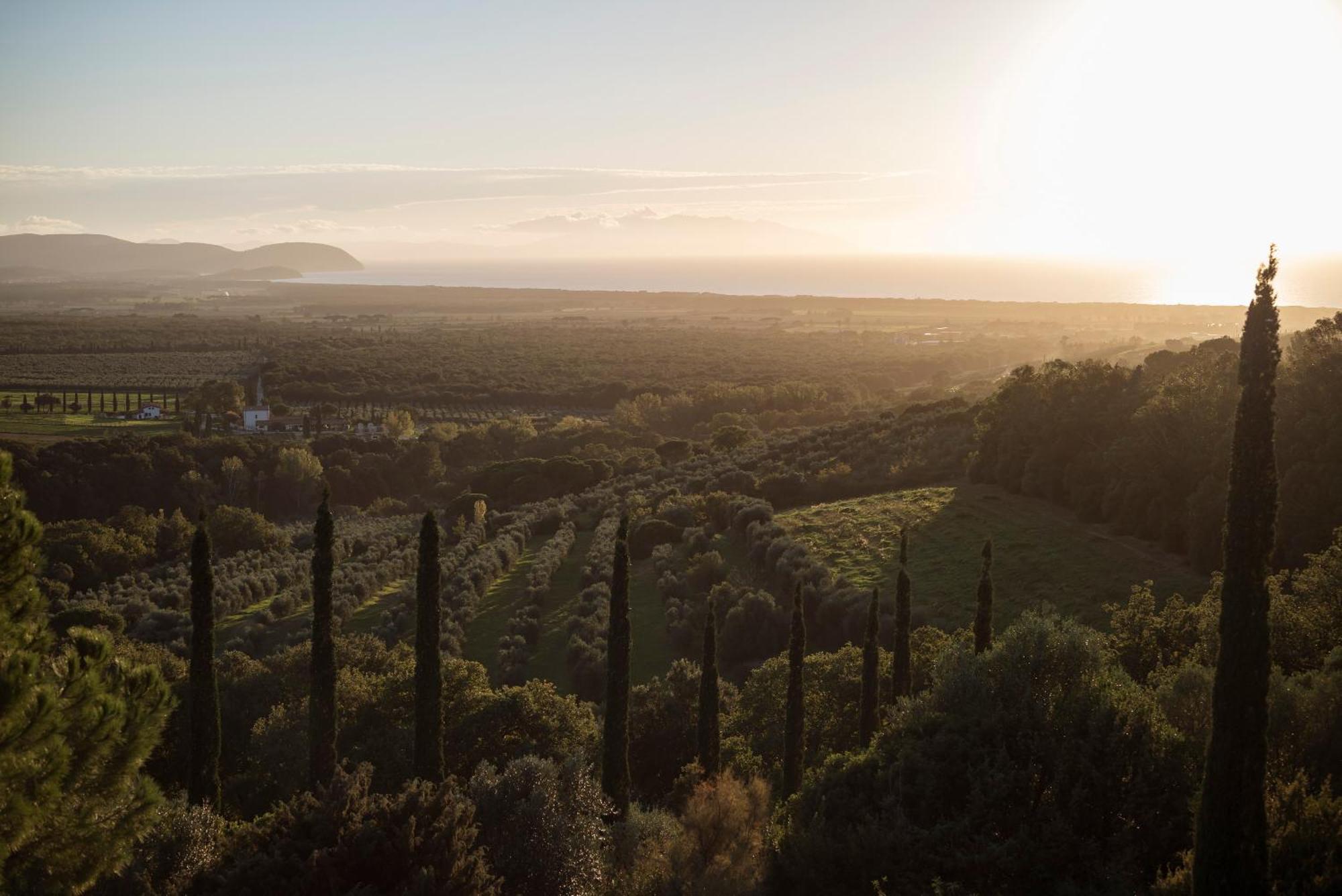 Boutique Hotel Poggio Ai Santi - Adults Only San Vincenzo Exterior foto